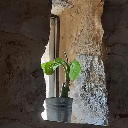 A Staccia בית כפרי רגוזה